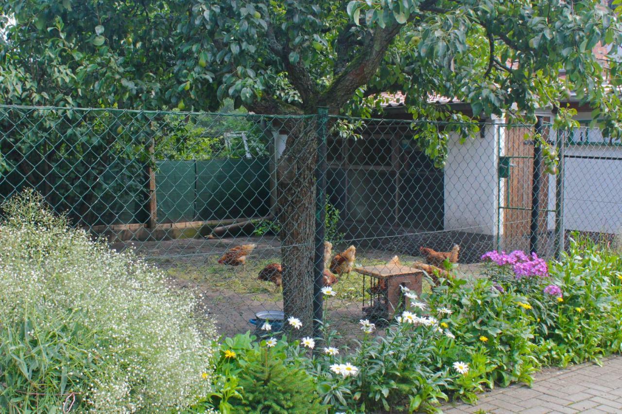 An Der Hainmuehle Lubben Exterior photo